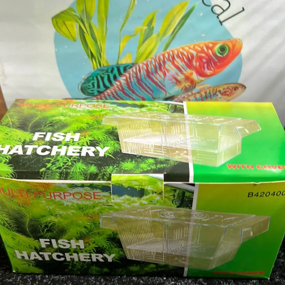 Breeders /Hatchery - B420400, Fish Hatchery