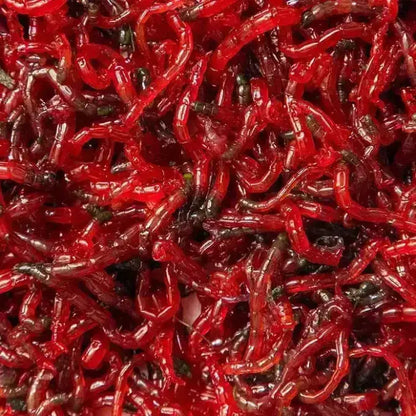 Aqua Natural Freeze Dried BloodWorms 26g