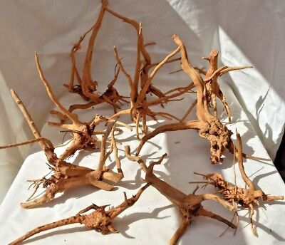 Driftwood, varying sizes